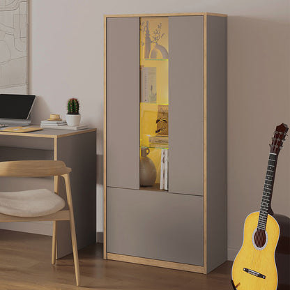 Complex 2 Door Low Display Cabinet Modern Style - Grey