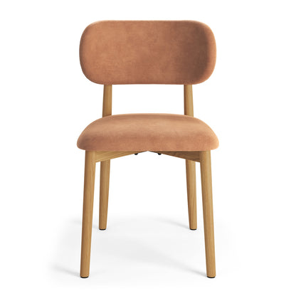 Almo Set of 2 Upholstered Dining Chairs with Solid Oak Frame - Terracotta