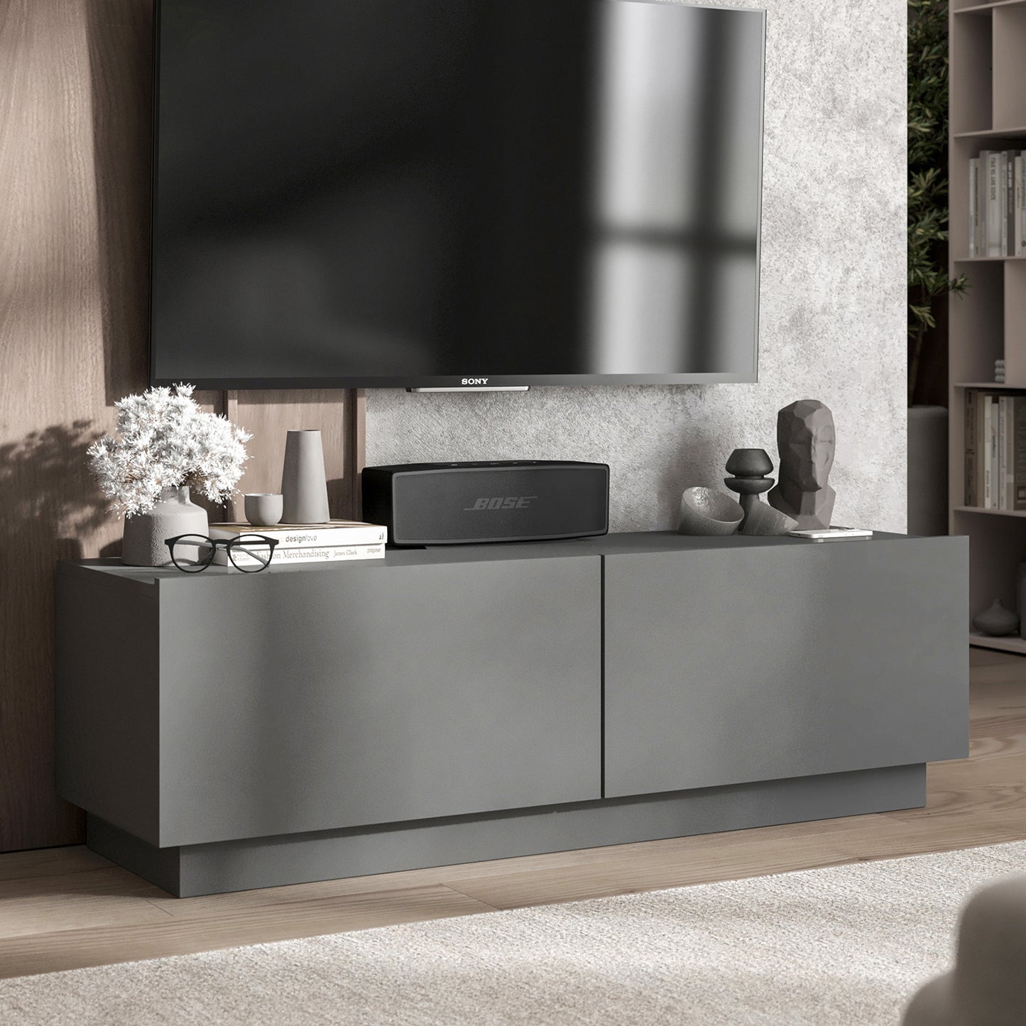 Enjoy Minimalist Stand TV Unit 2-Door Design - Graphite